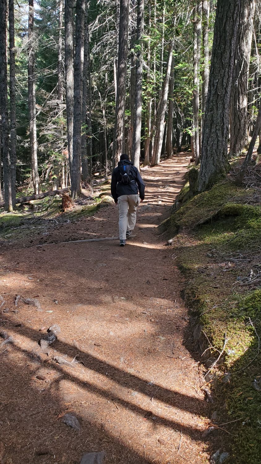 Mount Rainier NP 